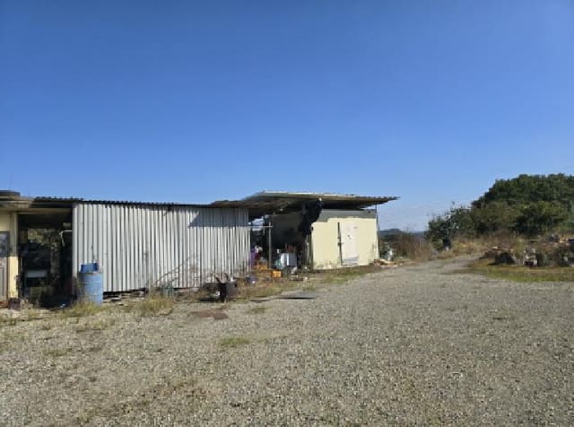 B000310202501300011604.jpg