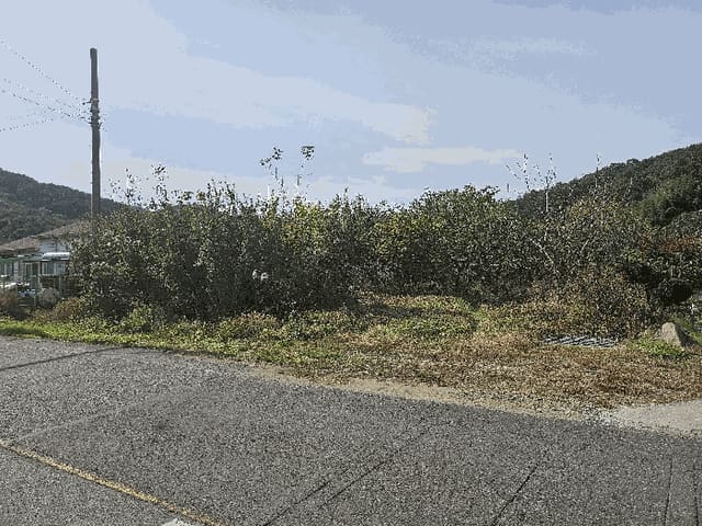 B000310202501300011914.jpg