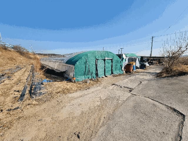 B000310202501300012814.jpg