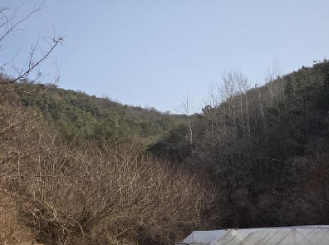 B000310202501300013091.jpg
