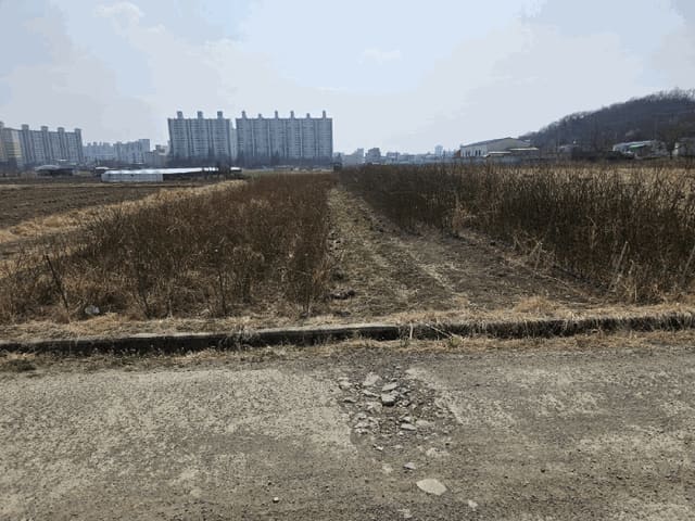 B000310202501300064319.jpg