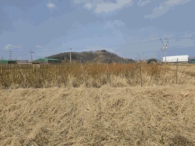 B0003102025013000643110.jpg