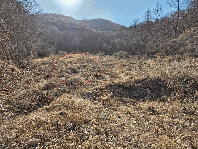 B000310202501300072524.jpg