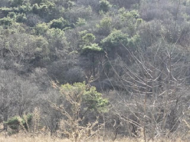 B000310202501300072521.jpg
