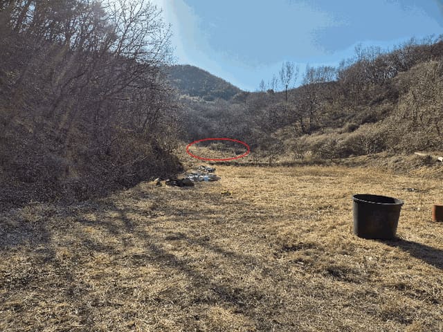 B000310202501300072523.jpg