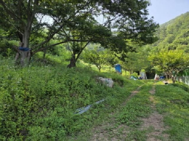 B000310202501300077132.jpg
