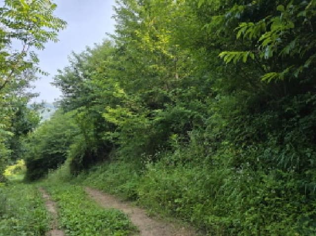 B000310202501300077131.jpg