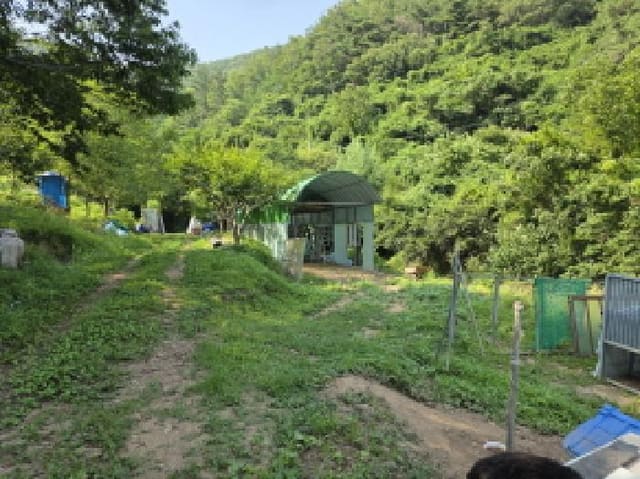 B000310202501300077133.jpg