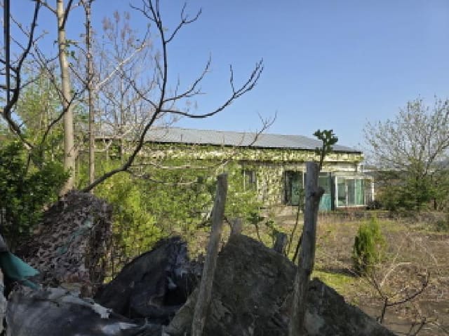 B000310202501300077161.jpg