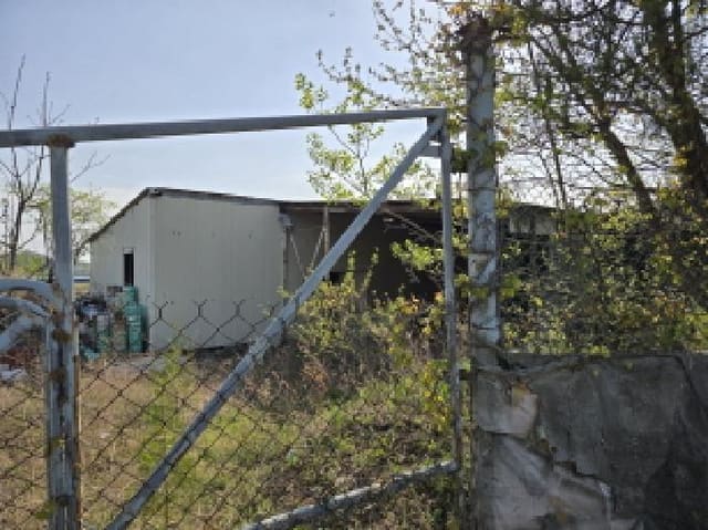 B000310202501300077162.jpg