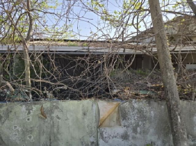 B000310202501300077163.jpg