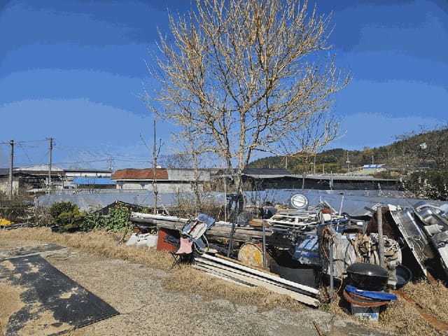 B0003102025013000775724.jpg