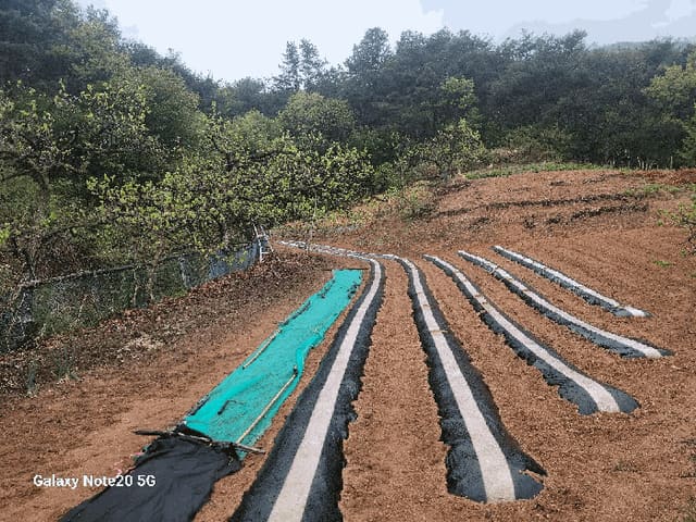 B0003102025013000777610.jpg