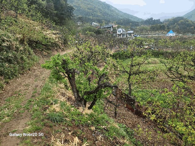 B000310202501300077769.jpg