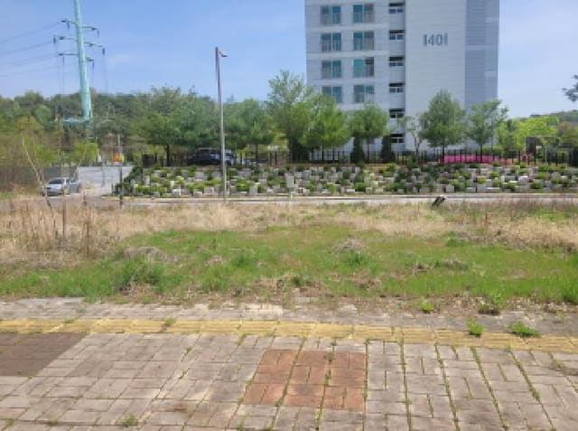 B000310202501300077851.jpg