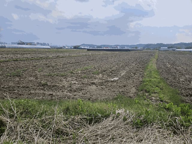 B000310202501300079433.jpg