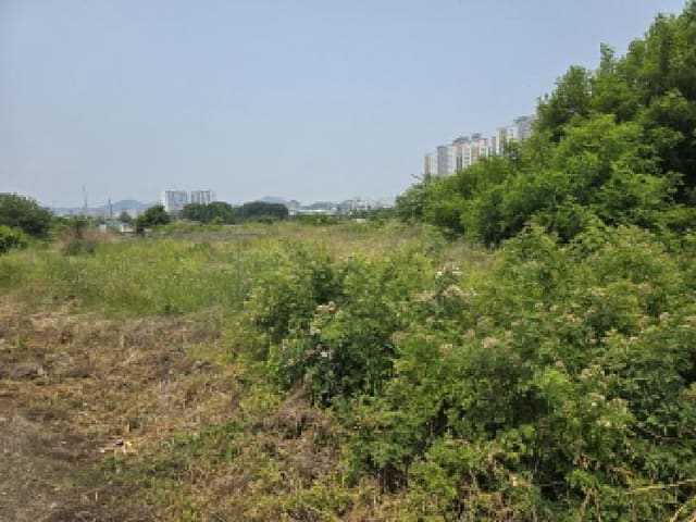 B000310202501300079793.jpg