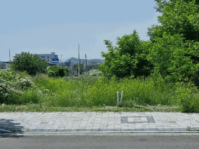 B000310202501300079794.jpg