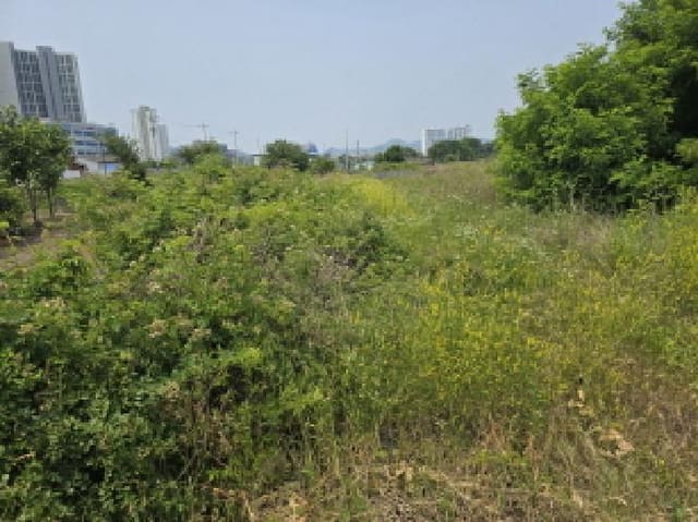 B000310202501300079791.jpg