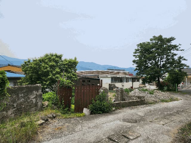 B000310202501300079832.jpg