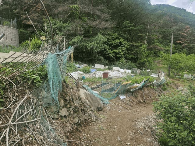 B000310202501300079964.jpg