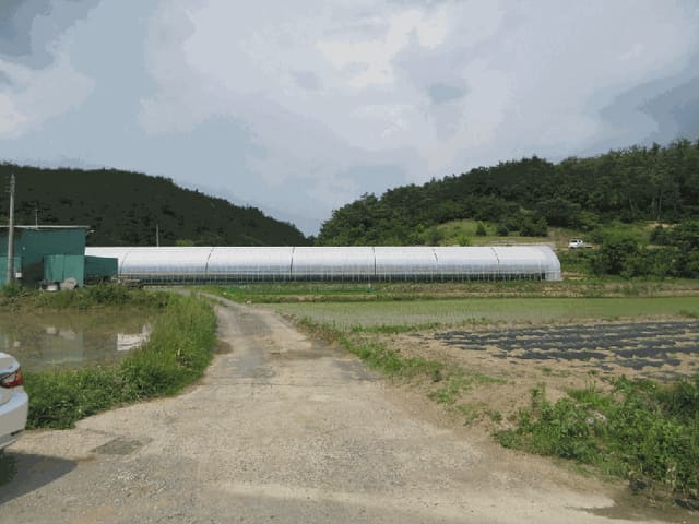 B000310202501300080262.jpg