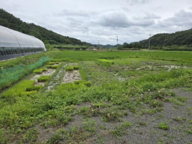 B000310202501300080261.jpg