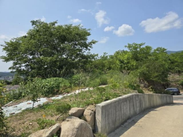 B000310202501300080591.jpg