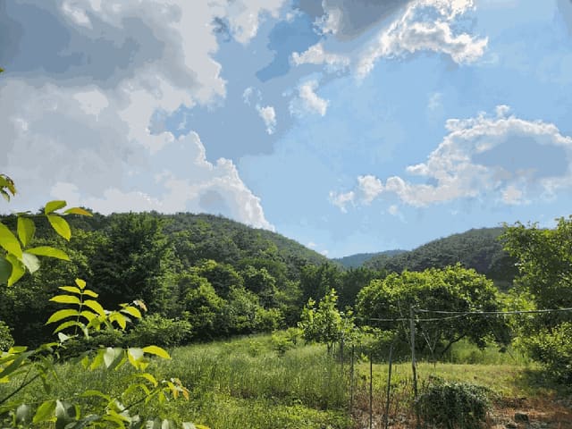 B000310202501300081013.jpg