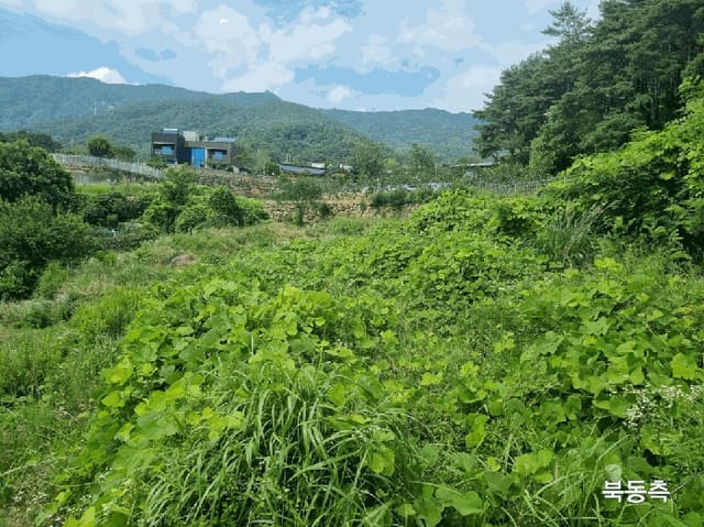 B000310202501300082152.jpg
