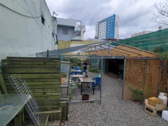 B000310202501300082494.jpg