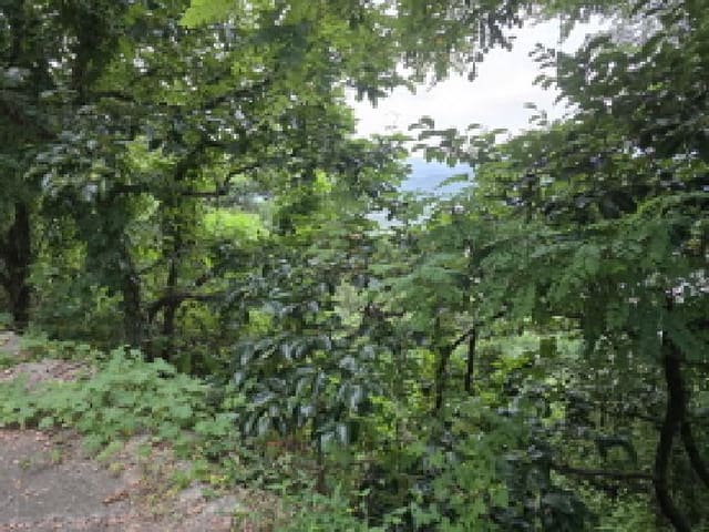 B000310202501300082664.jpg
