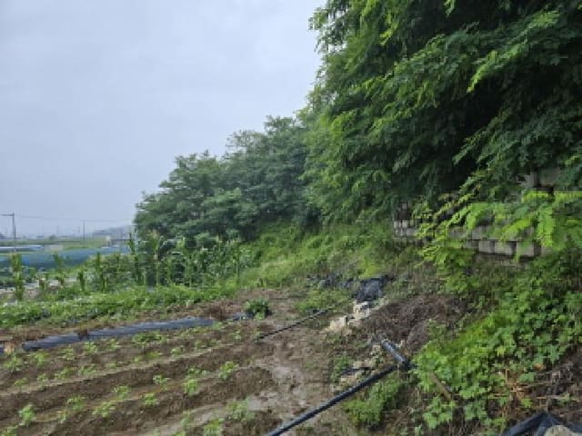 B000310202501300082752.jpg