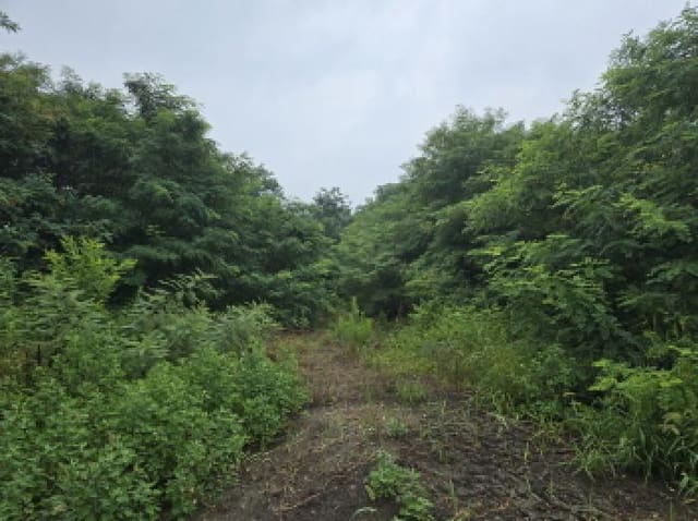 B000310202501300082753.jpg