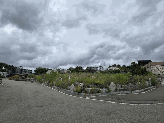 B000310202501300082954.jpg