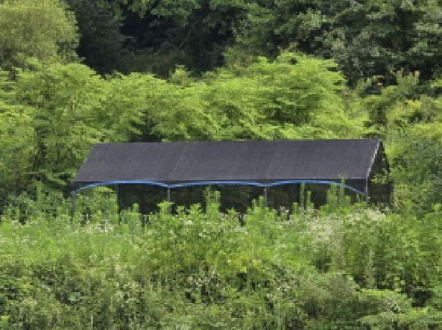 B000310202501300083282.jpg