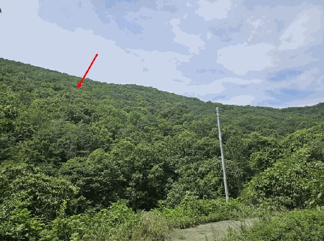 B000310202501300083562.jpg