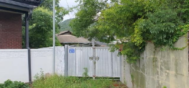 B000310202501300083681.jpg