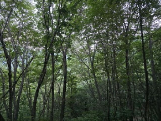 B0003102025013000836913.jpg
