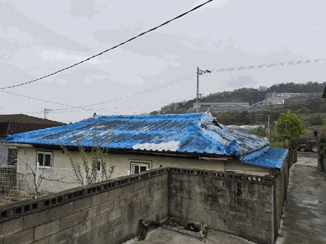 B000310202501300083857.jpg