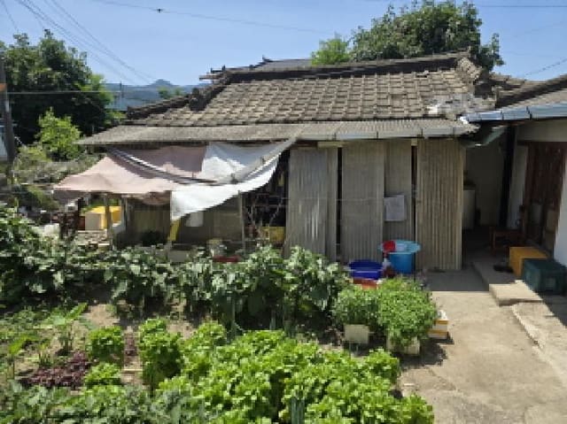 B000310202501300084423.jpg