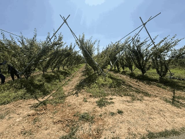 B000310202501300084562.jpg