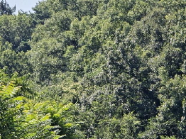 B000310202501300084864.jpg
