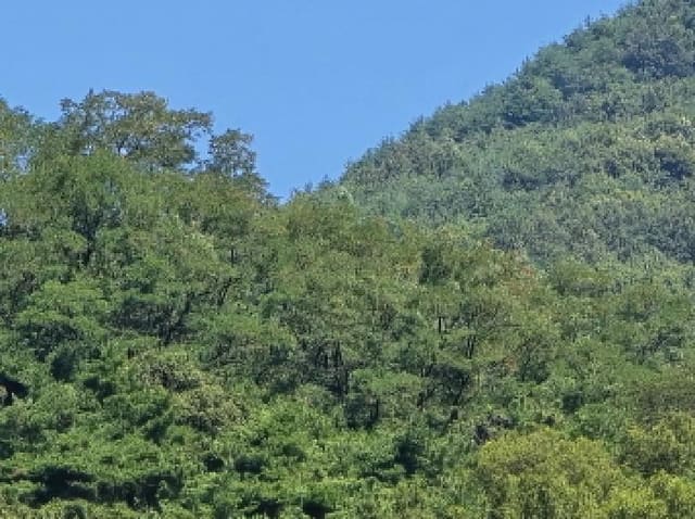 B000310202501300084861.jpg