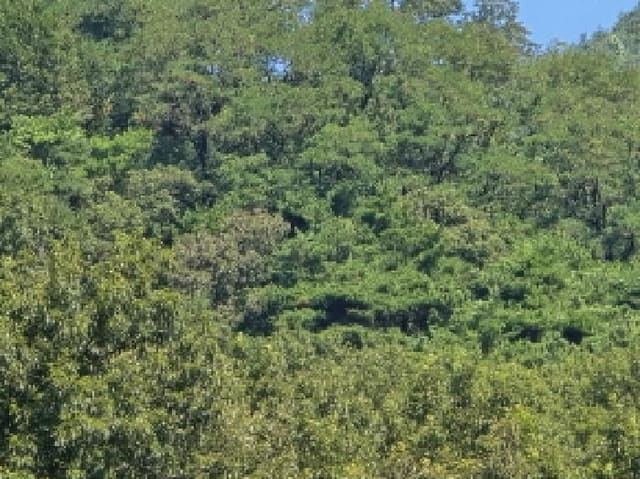 B000310202501300084862.jpg