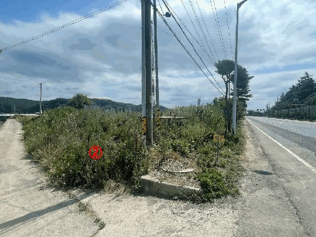 B000310202501300085304.jpg