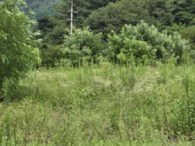 B000310202501300085514.jpg
