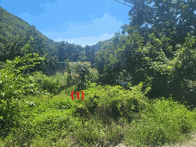 B000310202501300085592.jpg