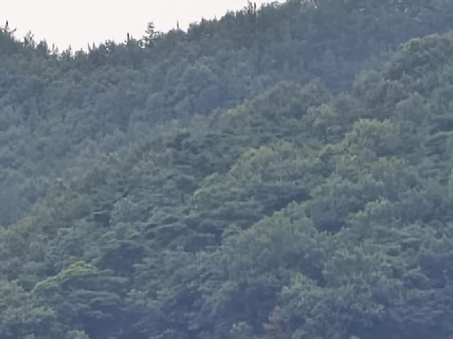 B000310202501300085601.jpg