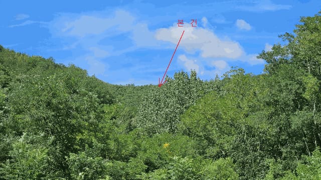 B000310202501300085604.jpg